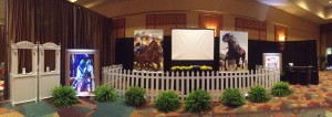 Video Horse Racing